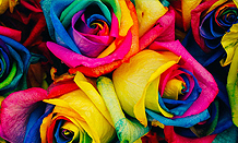 flowers wallpapers thumbnail